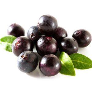 Acai Berry Organic Powder