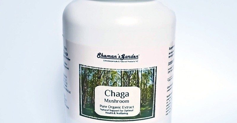 Chaga Mushroom Extract