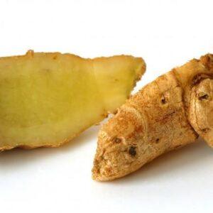 Galangal Extract