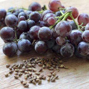 Grape Seed Extract