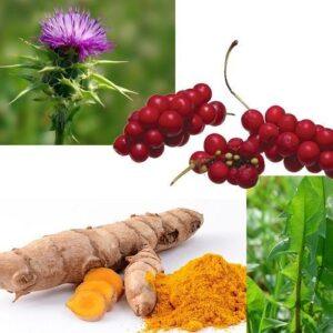 Beneficial Liver Herbs