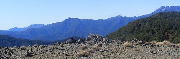 All Products, Herbal Product List