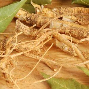 Suma root