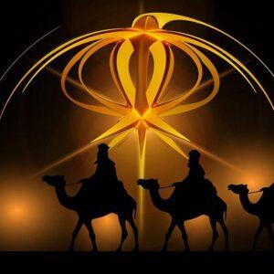 Frankincense Essential Oil