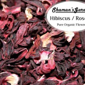 Hibiscus Flowers