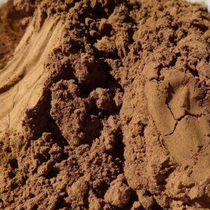 Chaga organic powder