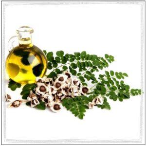 Moringa Oil