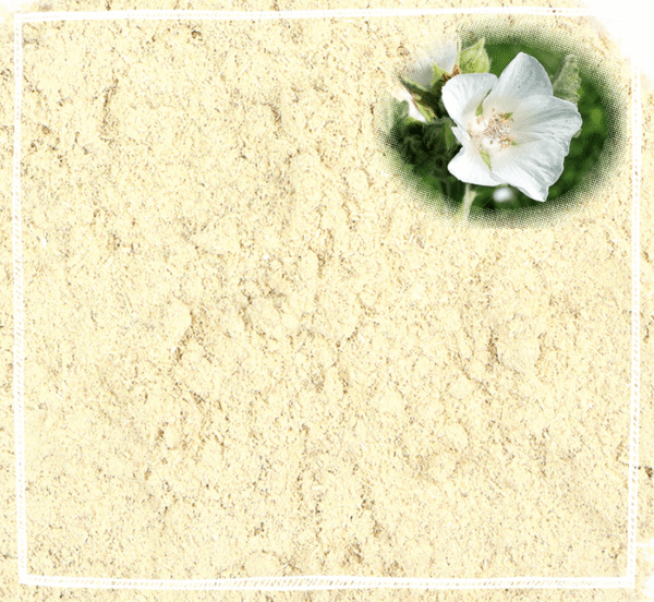 Marshmallow Root Powder Organic (Althaea officinalis) 50g, 200g, 1kg