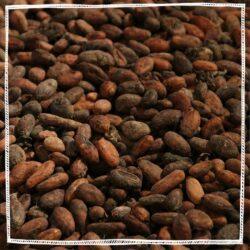 Organic Cacao Powder