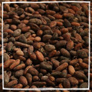 Organic Cacao Powder