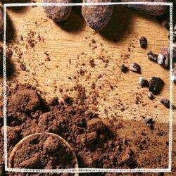 Organic Cacao Powder